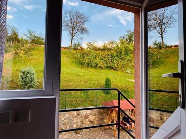 Hotel Casa Anca Sighetu Marmaţiei Exteriér fotografie
