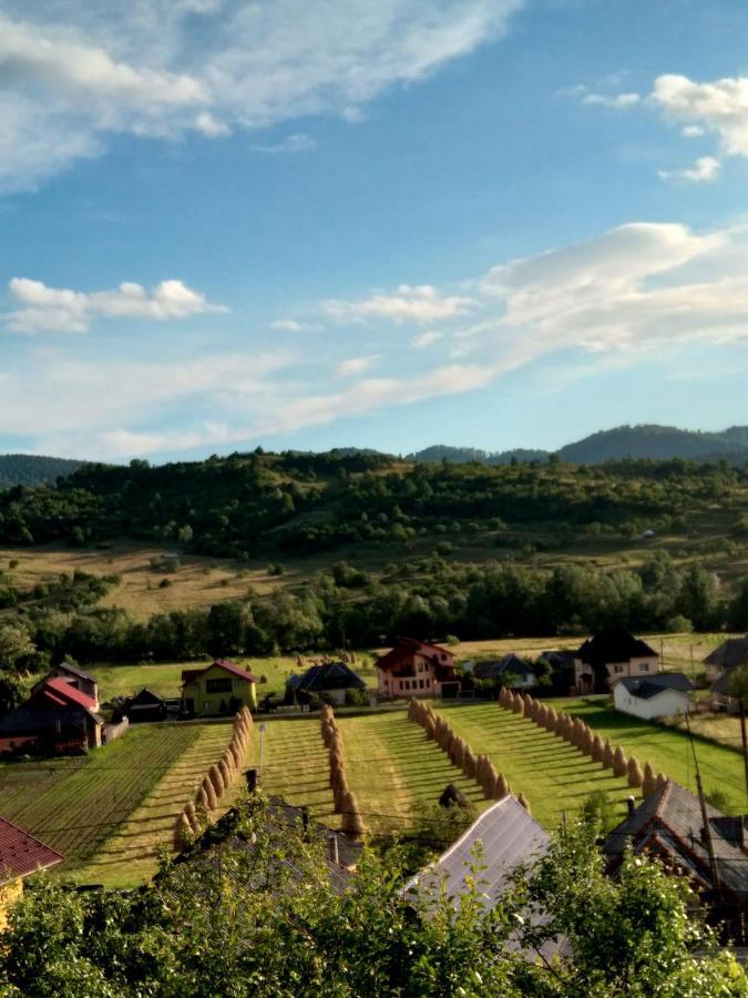 Hotel Casa Anca Sighetu Marmaţiei Exteriér fotografie