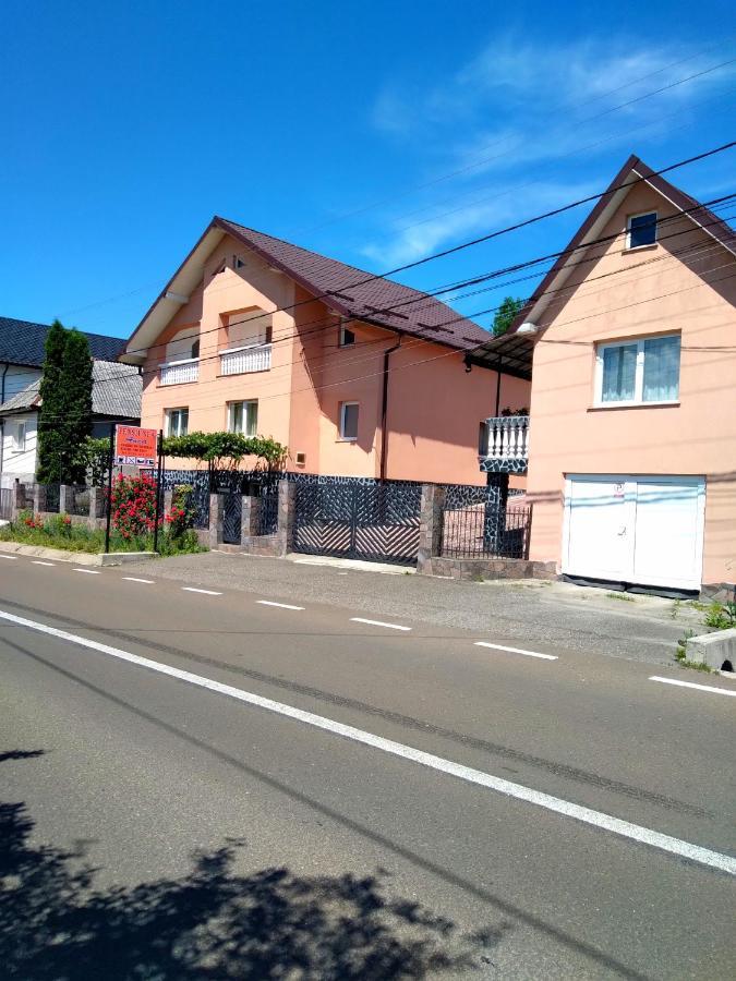 Hotel Casa Anca Sighetu Marmaţiei Exteriér fotografie